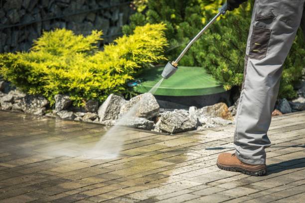 Best Animal Enclosure Cleaning  in Hertford, NC