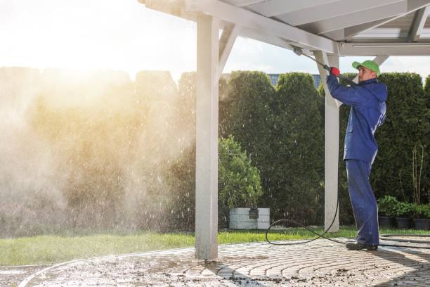 Animal Enclosure Cleaning in Hertford, NC